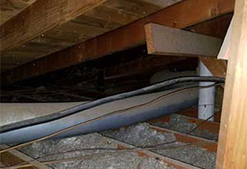 Attic Insulation Removal Services | Attic Cleaning San Francisco, CA