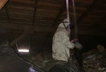 Attic Cleaning in Presidio | Attic Cleaning San Francisco