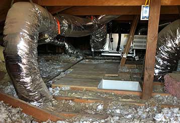 Crawl Space Repair | Attic Cleaning San Francisco, CA